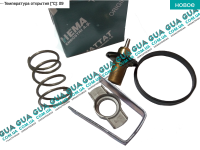 Термостат ( 89 C )