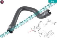 Патрубок вентиляции картерных газов ( трубка / шланг сапуна )