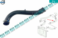 Патрубок / трубка интеркулера ( от интеркулера к турбине ) Volvo / ВОЛЬВО S40 2000-2003 1.9DI (1870 куб.см.)