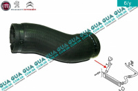 Патрубок интеркулера ( от радиатора к коллектору )