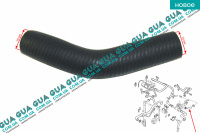 Патрубок / трубка системы охлаждения ( шланг к термостату )