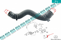 Патрубок масляного радиатора / трубка системы охлаждения ( шланг теплообменника )