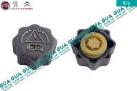 Крышка / пробка расширительного бачка радиатора 