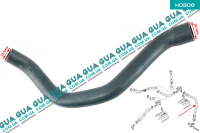 Патрубок вентиляции картерных газов / шланг  ( трубка сапуна )
