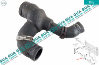 Патрубок / шланг системы охлаждения ( трубка )