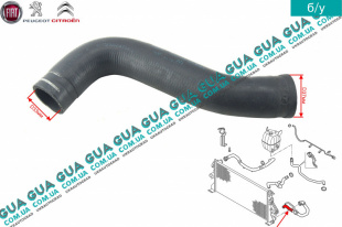 Патрубок / шланг системы охлаждения ( трубка радиатора нижняя )   