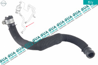 Шланг / патрубок масляной системы ( трубка сапуна )