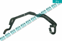 Патрубок / шланг системы охлаждения  (трубка)