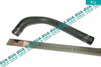  Шланг / трубка / патрубок масляной системы 