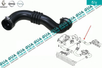 Патрубок интеркулера ( от радиатора к коллектору ) Renault / РЕНО MASCOTT 2004-2010 / МАСКОТ 04-10 3.0TDI (2953 куб.см.)