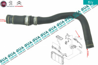 Патрубок / трубка системы охлаждения