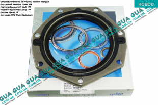 Сальник коленвала задний (уплотняющее кольцо коленчатого вала) 114х171х177х13   