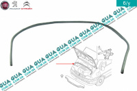 Уплотнитель капота верхний Peugeot / ПЕЖО BOXER II 2002-2006 / БОКСЕР 2 02-06 2.8HDI (2798 куб.см.)