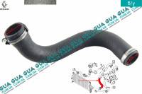 Патрубок ( трубка / шланг ) интеркулера от турбины к радиатору