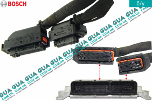 Фишки электронного блока управления двигателем ( ЭБУ / ECU )   