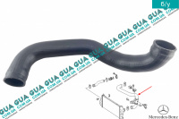 Патрубок интеркулера верхний левый