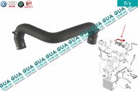 Патрубок / трубка системы охлаждения ( шланг EGR / ЕГР )