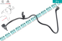 Шланг / патрубок вакуумной системы ( трубка вакуумного усилителя тормозов )