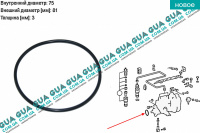 Сальник / уплотнительное кольцо / прокладка топливного насоса високого давления ТНВД