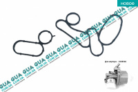 Прокладка корпуса масляного фильтра ( теплообменника / радиаторамасла ) 2шт Ford / ФОРД TRANSIT ( CUSTOM ) 2013- / ТРАНЗИТ (КАСТОМ) 13- 2.2 TDCI (2198 куб.см.)