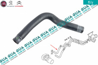 Патрубок / шланг системы охлаждения ( теплообменника ) трубка масляного радиатора