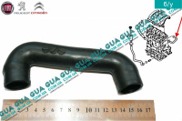 Патрубок вентиляции картерных газов ( шланг, трубка )