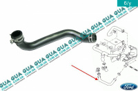 Трубка отвода картерных газов ( патрубок вентиляции картера ) Ford / ФОРД GALAXY 2006- / ГАЛАКСИ 06- 1.8TDCI (1753 куб.см.)