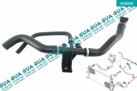 Патрубок / шланг / тройник системы охлаждения ( трубка радиатора нижняя )