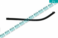 Шланг ситемы охлаждения ( патрубок к бачку, тоненький) (трубка)