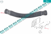 Патрубок / шланг системы охлаждения ( трубка )