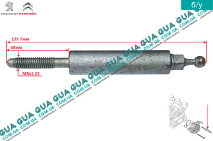 Болт / винт вакуумного насоса M8x1.25 Ford / ФОРД FIESTA VI 2008-2017 / ФИЕСТА 4 1.6TDCI (1560 куб.см.)