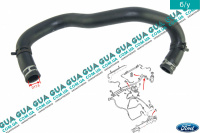 Шланг / патрубок гидроусилителя ( ГУРа ) ( трубка от насоса к бачку) Ford / ФОРД FOCUS I 1998-2004 / ФОКУС 1 98-04 1.8TDCI (1753 куб. см.)