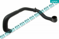 Патрубок радиатора ( нижний, правый )