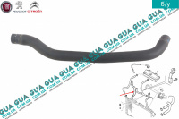 Патрубок / шланг системы охлаждения ( трубка к расширительному бачку ) 