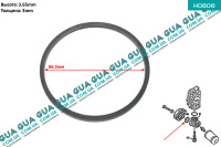 Прокладка масляного радиатора ( масляного охладителя / теплообменника / корпуса масляного фильтра )