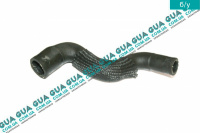 Патрубок / шланг системы охлаждения ( трубка масляного радиатора / теплообменника )