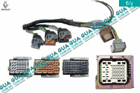 Фишки электронного блока управления двигателем ( ЭБУ / ECU )