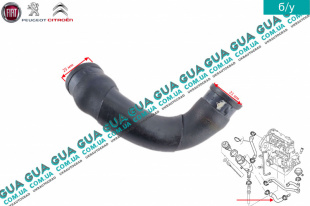 Патрубок вентиляции картерных газов ( шланг, трубка cапуна )   