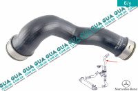 Патрубок интеркулера верхний ( от радиатора к коллектору )