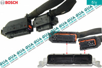 Фишки электронного блока управления двигателем ( ЭБУ / ECU )