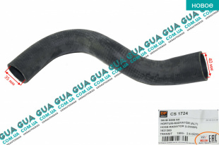 Патрубок радиатора нижний   