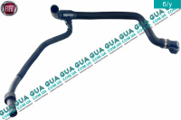 Патрубок / шланг / трубка системы охлаждения ( патрубок радиатора нижний )