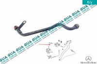 Трубка  системы охлаждения от генератора к ГБЦ