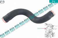 Патрубок радиатора / шланг системы охлаждения  верхний ( трубка )