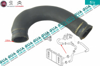 Патрубок / шланг системы охлаждения ( трубка от радиатора к термостату )
