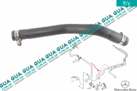 Патрубок / трубка системы охлаждения ( к дополнительному водяному насосу )