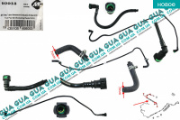 Патрубки / трубки топливной системы ( трубка топлива )  комплект