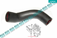 Патрубок вентиляции картерных газов ( шланг, трубка cапуна )