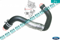 Патрубок масляного радиатора / трубка системы охлаждения ( шланг теплообменника )