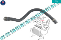 Патрубок / трубка системы охлаждения